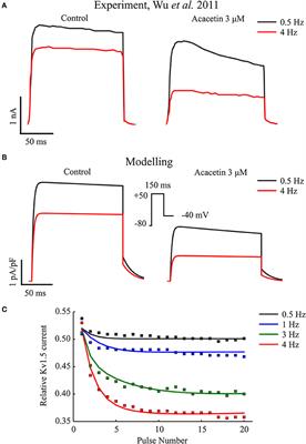 Synergistic Anti-arrhythmic Effects in Human Atria with Combined Use of Sodium Blockers and Acacetin